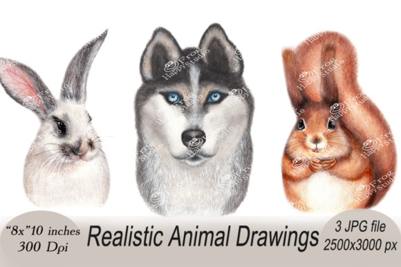 Elevate Your Projects with a Realistic Animal Portraits Set