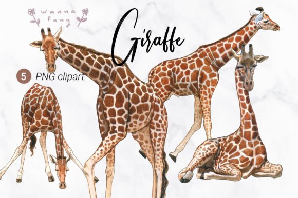 Giraffe Watercolor Animal Clipart: A Designer's Delight