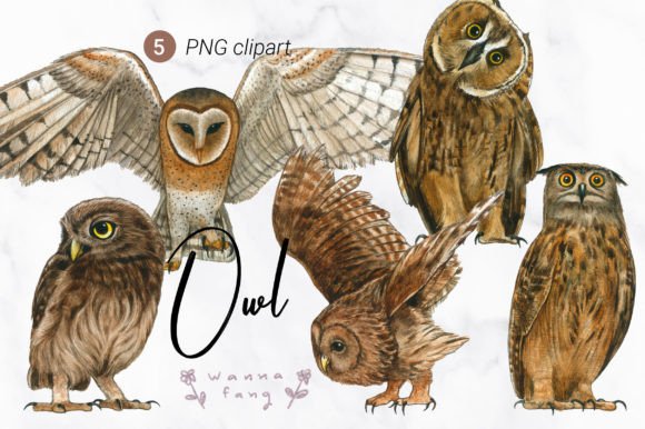 Owl Watercolor Animal Clipart, PNG: Adding Whimsy to Your Designs