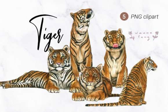 Tiger Watercolor Animal Clipart: Bold & Artistic PNG Graphics